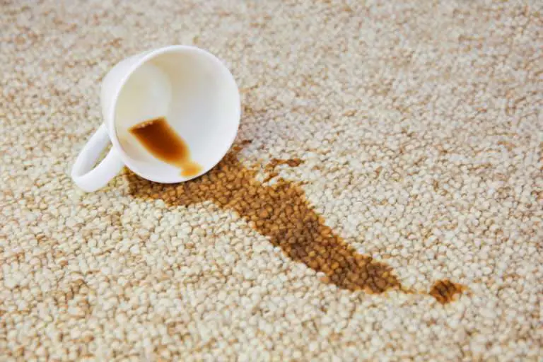 How to Get Coffee Out of Carpet ? 10 Interesting Ways to Do It