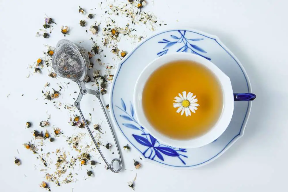 fresh chamomile tea
